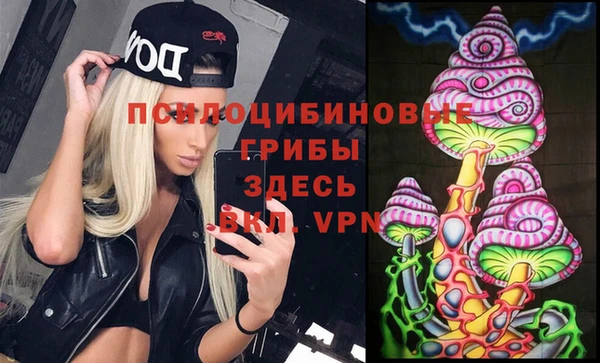 mix Абаза