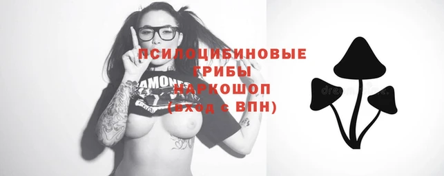 mix Абаза