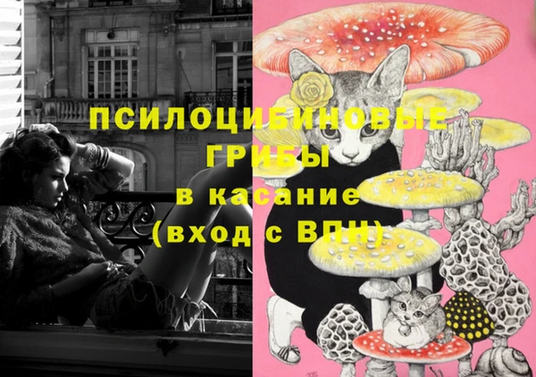 mix Абаза